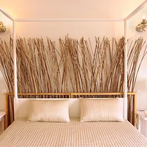 T2 Apartamento